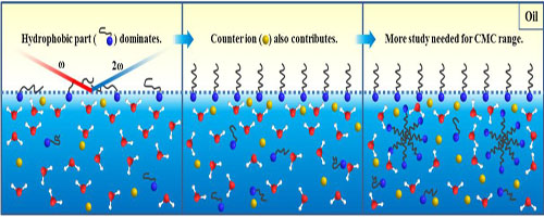 新疆理化所在表面活性剂水-油界面吸附过程研究中获进展