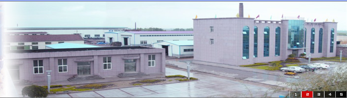 河北省沧州恒通管件制造有限公司