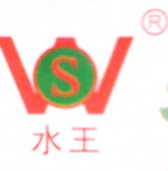 龙口东江水王锅炉厂
