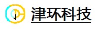 天津津环仪表科技有限公司
