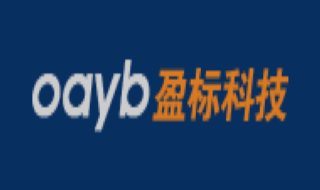 广州市盈标电子科技有限公司