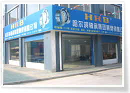 临西进口轴承科技有限公司
