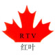 深圳市红叶杰科技有限公司