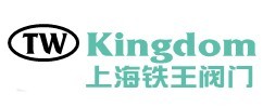 铁王阀门上海有限公司