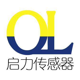 蚌埠启力传感系统工程有限公司