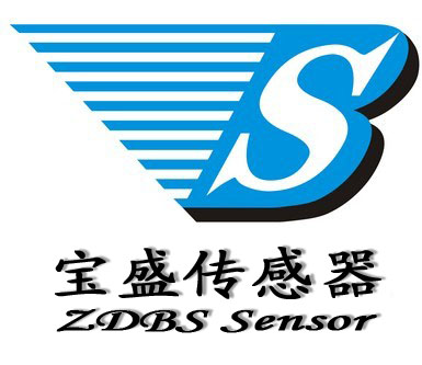北京中电宝盛传感技术有限公司