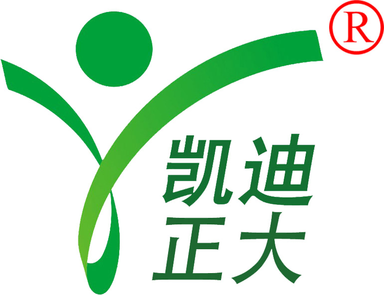 武汉凯迪正大电气有限公司