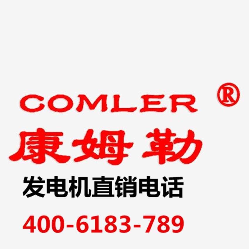 山东康姆勒发电机有限公司