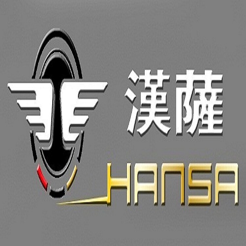 上海汉萨股份有限公司