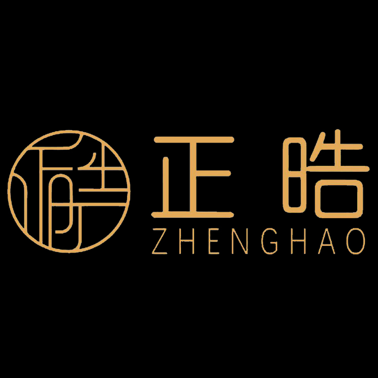 深圳市正晧科技有限公司