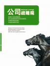 公司战略观1