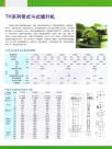 TH系列带式斗式提升机