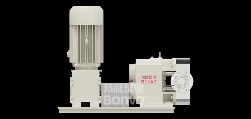 不銹鋼凸輪轉(zhuǎn)子泵 硅油輸送泵 潤滑油輸送泵  高粘度輸送泵