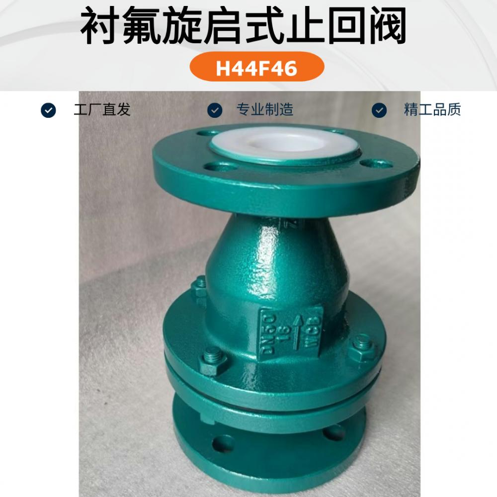 襯四氟旋啟式止回閥H44F46-16C